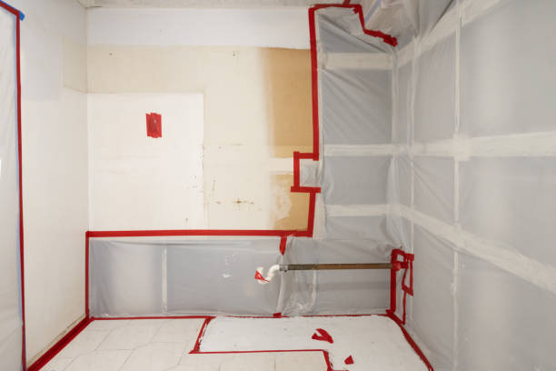 Professional Mold Removal in Belmond, IA